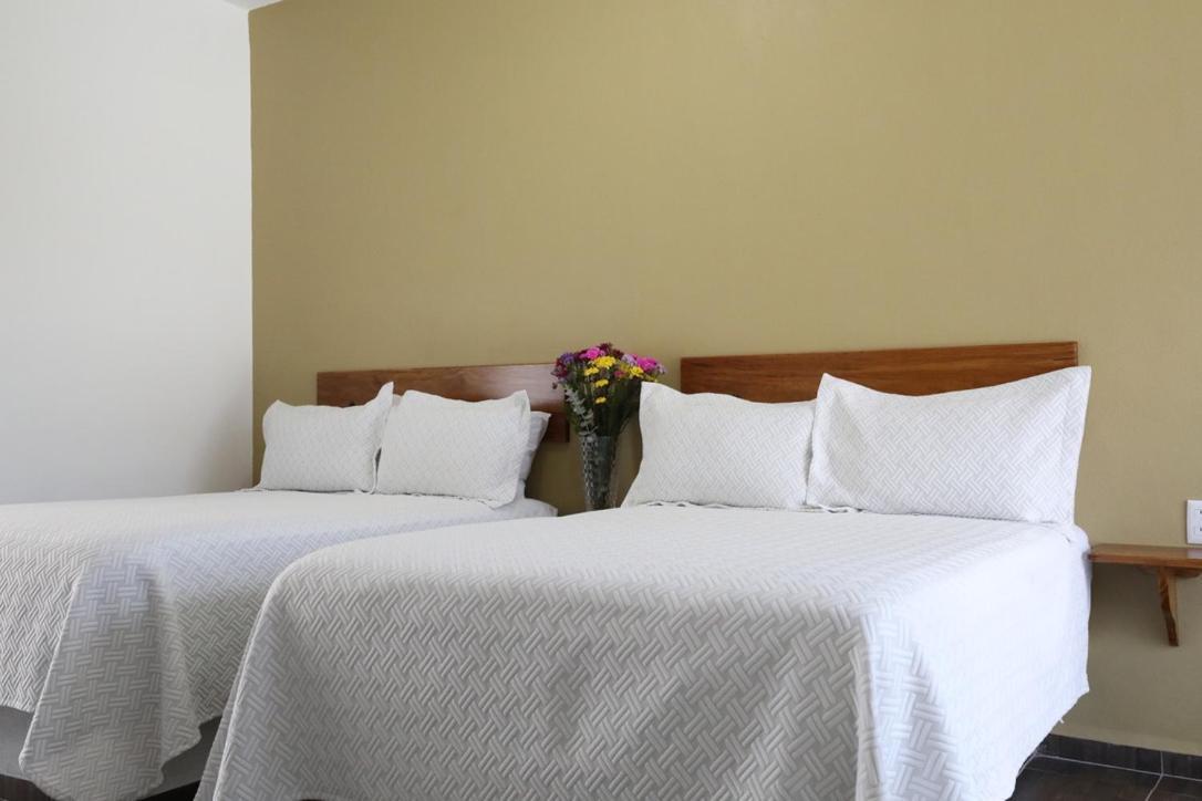 Hotel Del Mar 바라 데 나비다드 외부 사진